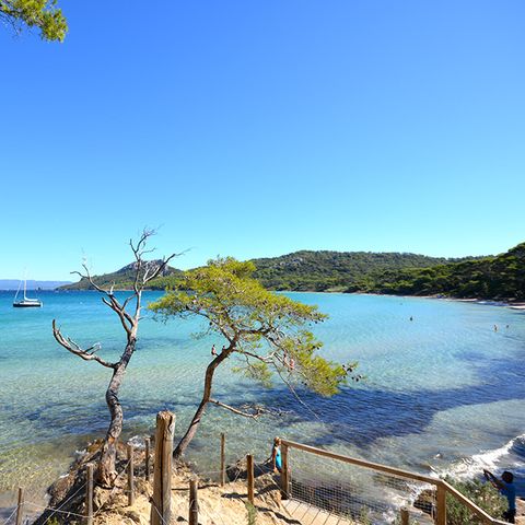 Camping L'Ile d'Or - Camping Var - Image N°2