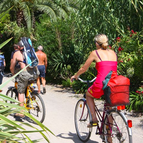 Camping L'Ile d'Or - Camping Var - Image N°6