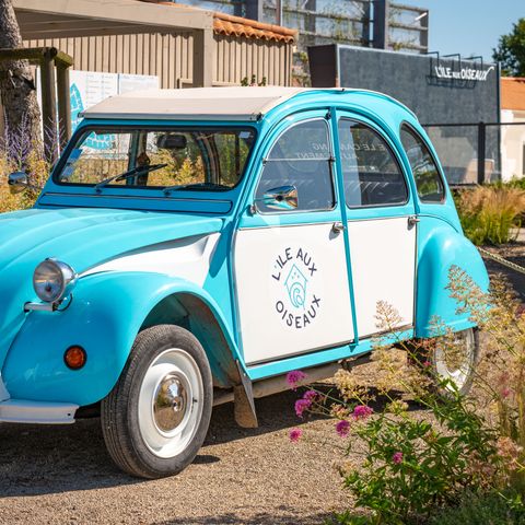 Camping Ile aux Oiseaux - Camping Vendée - Image N°6