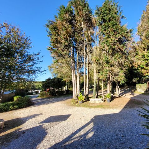 Camping Les Cerisiers Camping Les Cerisiers - Camping Morbihan - Image N°2