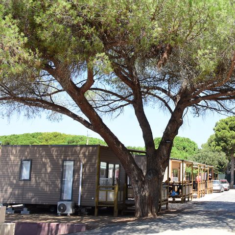 Camping Tikayan le Méditerranée Camping Tikayan le Méditerranée - Camping Var - Image N°4