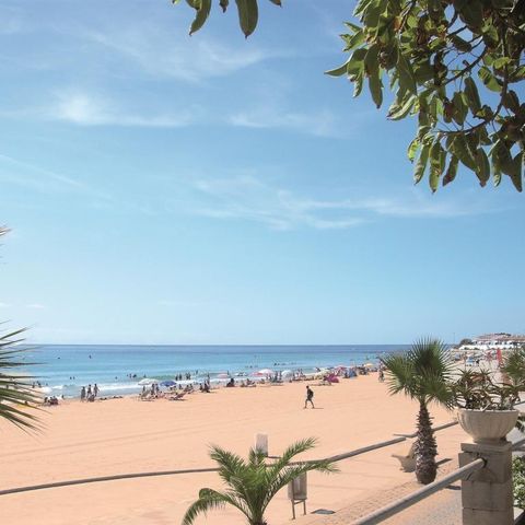 Camping Alannia Costa Dorada - Camping Tarragone - Image N°2