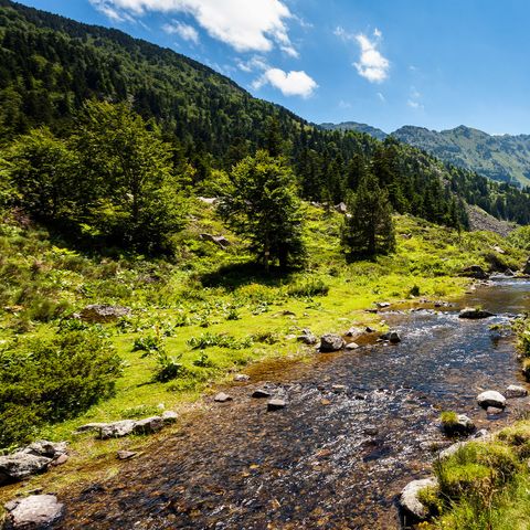 Camping  l'Arize - Camping Ariège - Image N°3