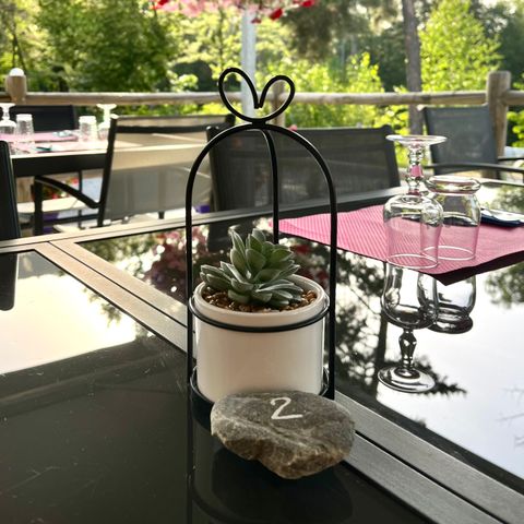 Camping La Pierre de L'Aigle  - Camping Alpes-de-Haute-Provence - Image N°6