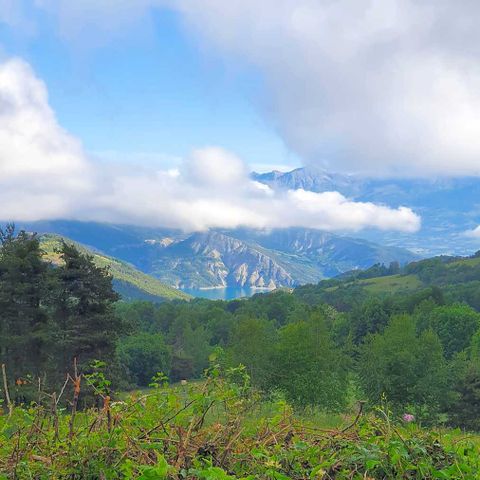 Camping La Pierre de L'Aigle  - Camping Alpes-de-Haute-Provence - Image N°4