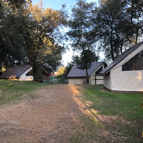 Camping Le Bosquet Camping Le Bosquet - Camping Vendée - Image N°5