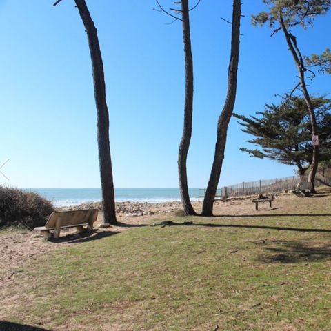 Camping Le Bosquet Camping Le Bosquet - Camping Vendée - Image N°6
