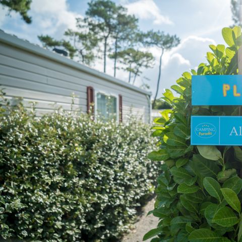 Camping Paradis - La Pomme de Pin - Camping Vendée - Image N°3