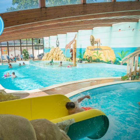 Camping Paradis - La Pomme de Pin - Camping Vendée - Image N°4