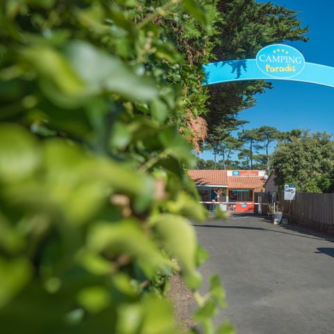 Camping Paradis - La Pomme de Pin - Camping Vendée - Image N°2
