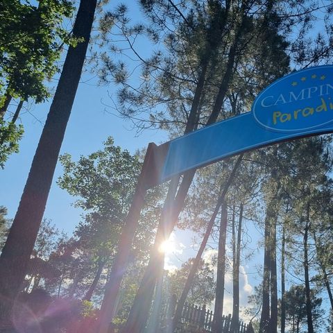 Camping Paradis - Bois Simonet - Camping Ardèche - Image N°2