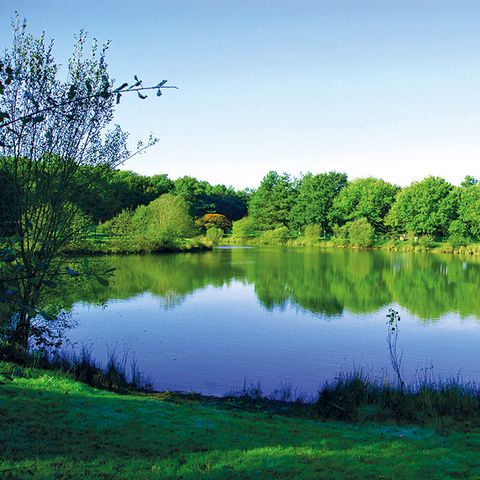 Camping Coeur de Vendée Camping Coeur de Vendée - Camping Vendée - Image N°6