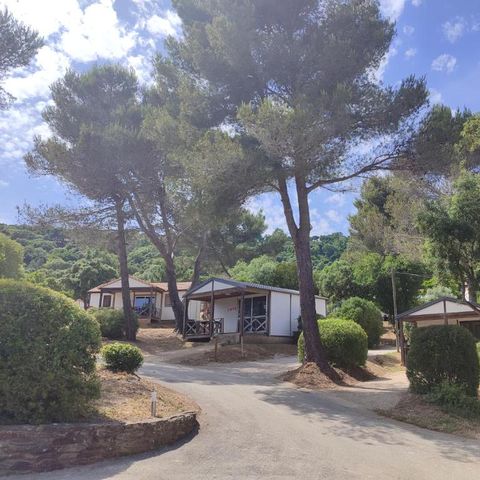 Camping Le Parc des Chênes - Camping Var - Image N°4