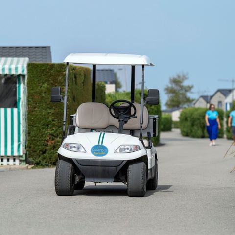 Camping Paradis Les Jonquilles Camping Paradis Les Jonquilles - Camping Vendée - Image N°6