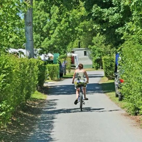 Camping Le Cottage Fleuri - Camping Vendée - Image N°5