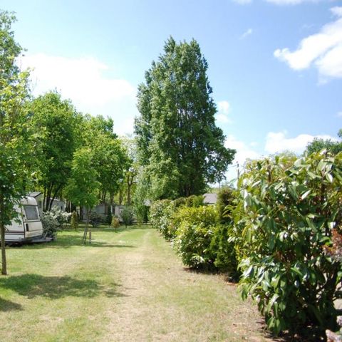 Camping Les Acacias Camping Les Acacias - Camping Indre-et-Loire - Image N°4