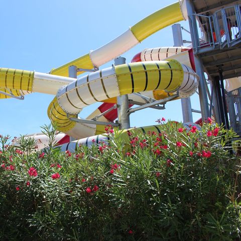 Camping l'Oasis Palavasienne - Camping Hérault - Image N°6