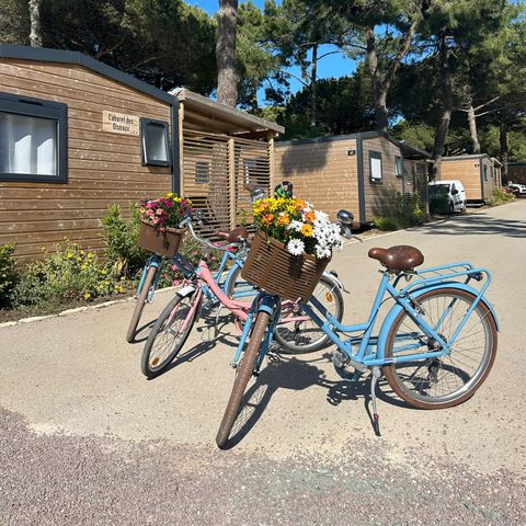 Camping Le Suroit  - Camping Charente-Maritime - Image N°4