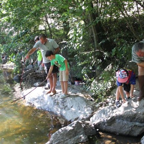 Camping Le Pont d'Allagnon Camping Le Pont d'Allagnon - Camping Haute-Loire - Image N°6