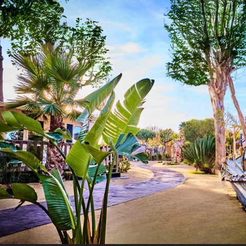 Pirates World Village-club Les Sables d'Or - Camping Hérault - Image N°5