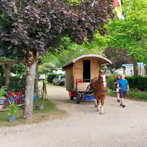 Camping l'Eau Vive - Camping Gironde - Image N°5