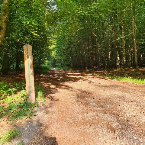 Camping de l'Orival Camping de l'Orival - Camping Seine-Maritime - Image N°6