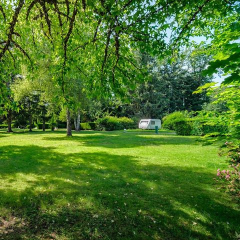 Flower Camping du Lac de la Seigneurie - Camping Territoire-de-Belfort - Image N°4