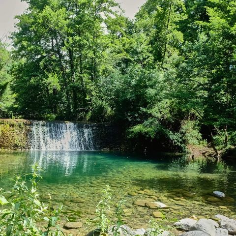 Camping Ludo Parc Pausado - Camping Ardèche - Image N°4