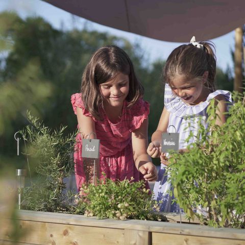 Slow Village les Ponts-de-Cé - Camping Maine-et-Loire - Image N°6