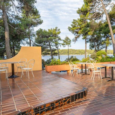 Camping Poljana  Camping Poljana  - Camping Istrie - Image N°5