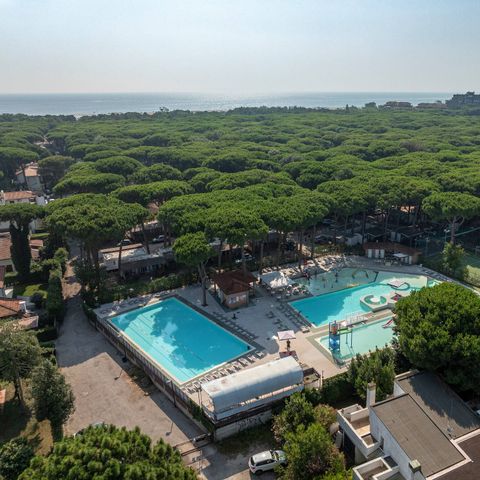 Camping Mare e Pineta - Camping Ferrare - Image N°3