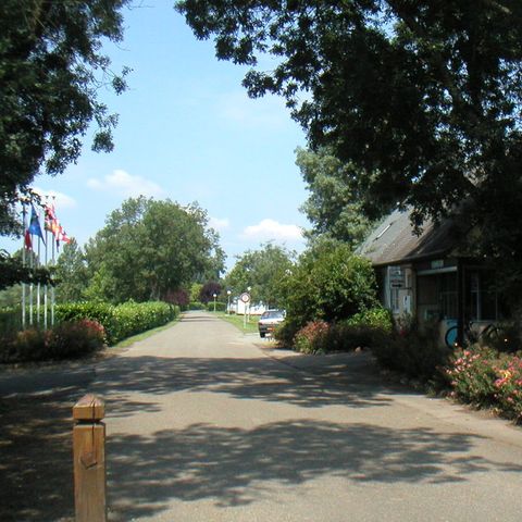 Camping Le Lac des Varennes - Camping Sarthe - Image N°4