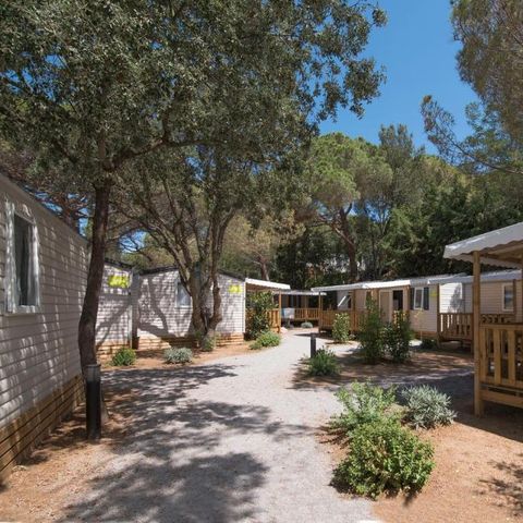 Camping Santa Elena Ciutat - Camping Gérone - Image N°3