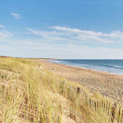 Flower Camping Les Dunes - Camping Vendée - Image N°6