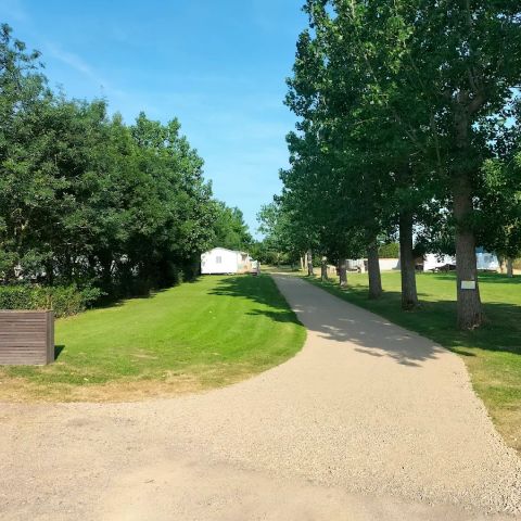 Camping Au Vent des Marais - Camping Vendée - Image N°5