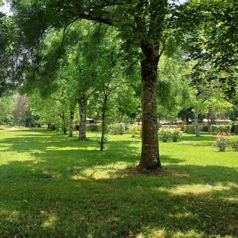 Camping Des Berges Du Gers Camping Des Berges Du Gers - Camping Gers - Image N°4