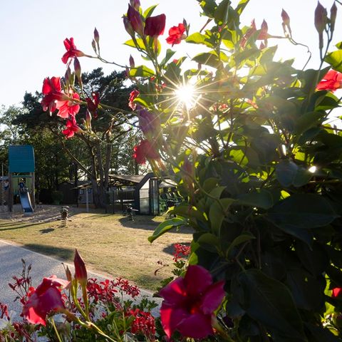 Camping Sites et Paysages - Les Hirondelles  Camping Sites et Paysages - Les Hirondelles  - Camping Lot - Image N°5