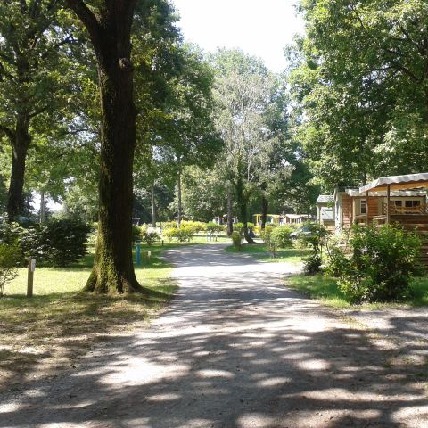 Camping OAKi - Camping Vendée - Image N°2