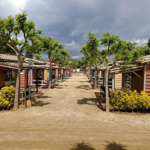 Camping Del Mar - Camping Barcelone - Image N°5