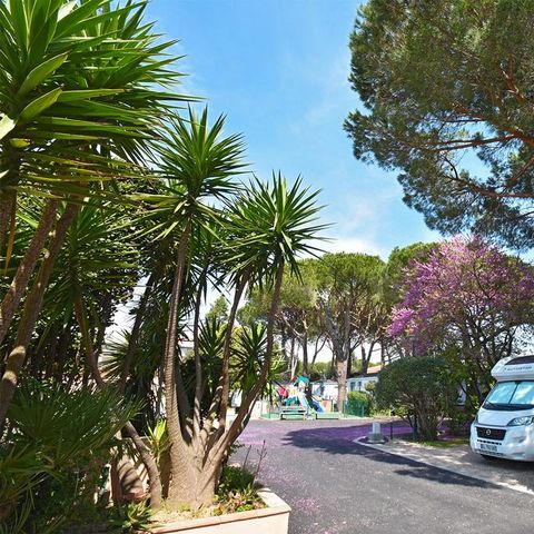 Camping Les Cigales Camping Les Cigales - Camping Alpes-Maritimes - Image N°4