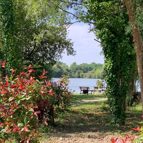 Natura Resort Pescalis - Camping Deux-Sèvres - Image N°4