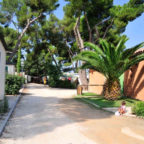 Camping Pascalounet Camping Pascalounet - Camping Bouches-du-Rhône - Image N°6