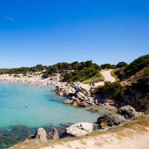 Camping Pascalounet Camping Pascalounet - Camping Bouches-du-Rhône - Image N°3
