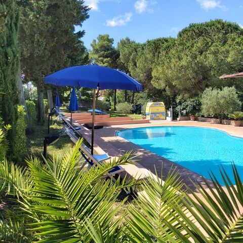 Camping Toscana Holiday Village Camping Toscana Holiday Village - Camping Pise - Image N°2