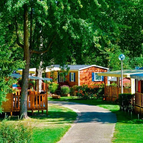 Camping Parc de Fecht Camping Parc de Fecht - Camping Haut-Rhin - Image N°2