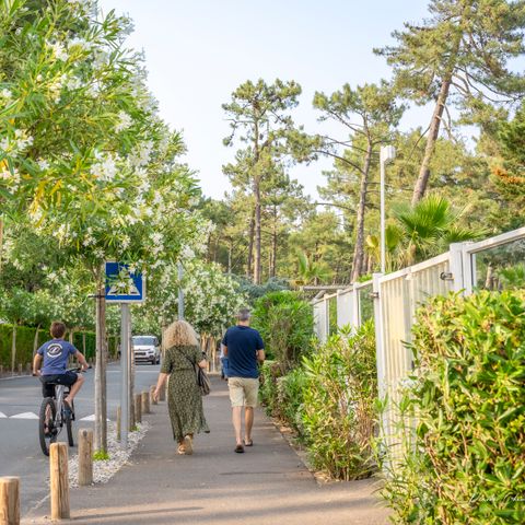 Camping Le Vieux Port - Camping Landes - Image N°5