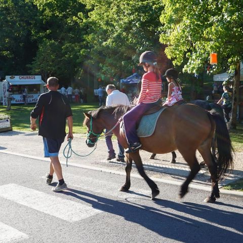 Camping Nantes Camping  - Camping Loire-Atlantique - Image N°4