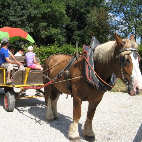 Camping Le Moulin de Rambourg - Camping Vendée - Image N°5