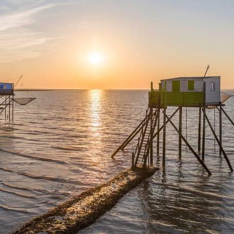 Camping Les 2 Salamandres Camping Les 2 Salamandres - Camping Charente-Maritime - Image N°5