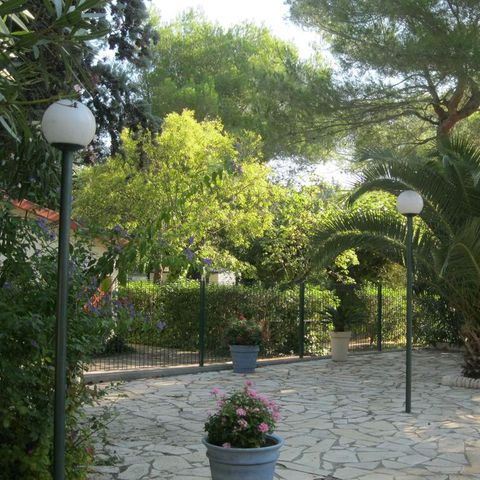 Camping Le Rebau  - Camping Hérault - Image N°5